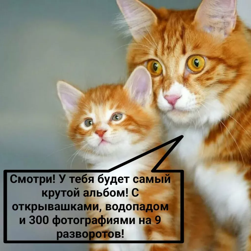 bRSq_2NvXBQ.jpg bRSq_2NvXBQ.jpg