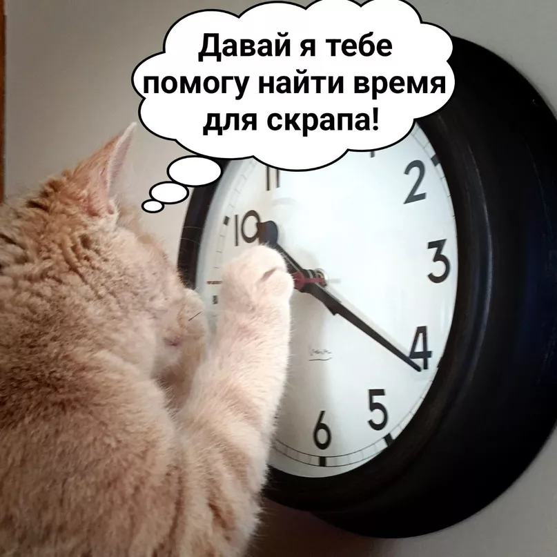 ADyeuxrmtXU.jpg ADyeuxrmtXU.jpg