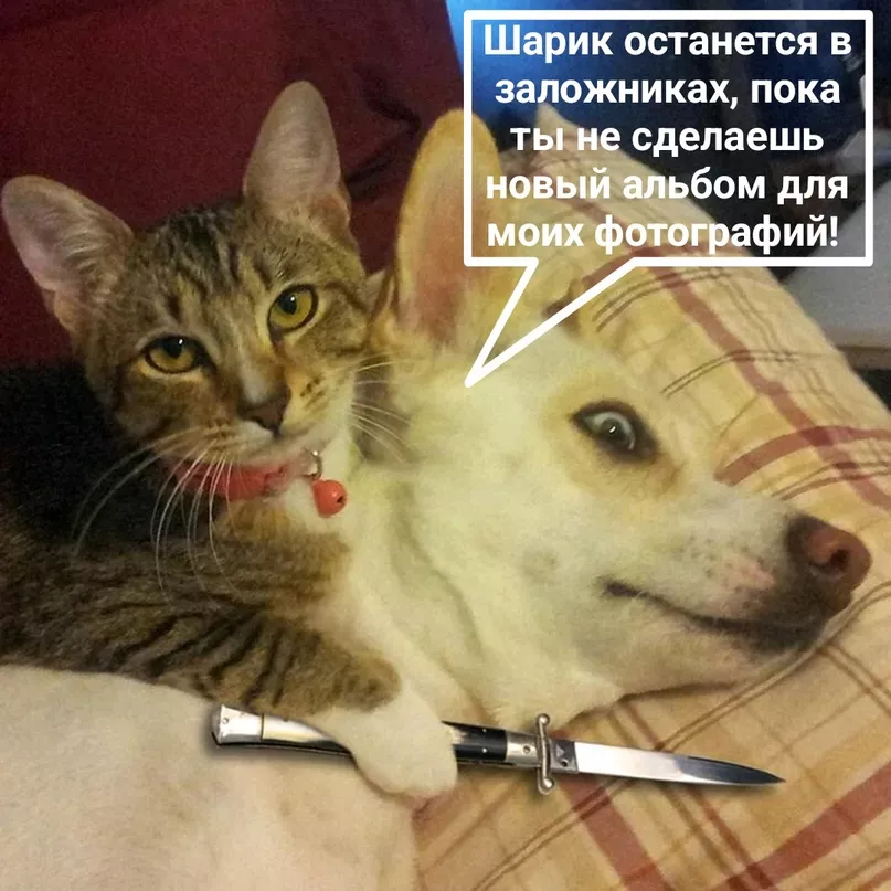 a_anC17AqdI.jpg a_anC17AqdI.jpg