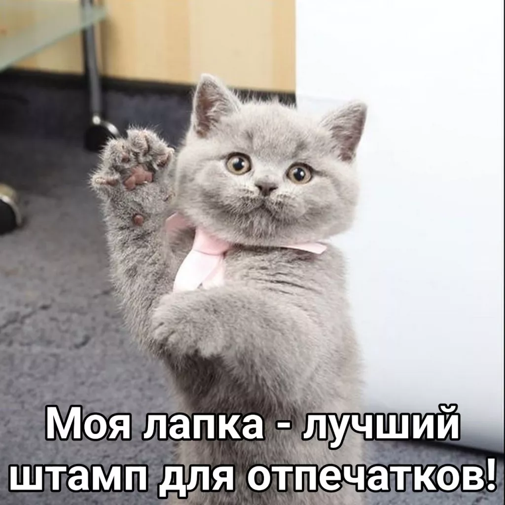 CWeexou2AfU.jpg CWeexou2AfU.jpg