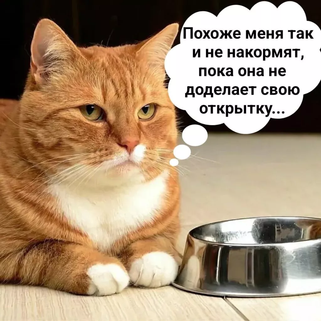 загруженное (13).png загруженное (13).png