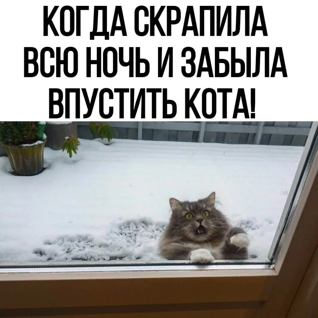 QOAlZF1IC0g.jpg QOAlZF1IC0g.jpg