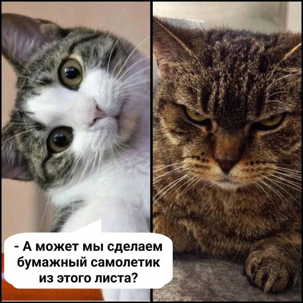 4TPCVXipdzQ.jpg 4TPCVXipdzQ.jpg