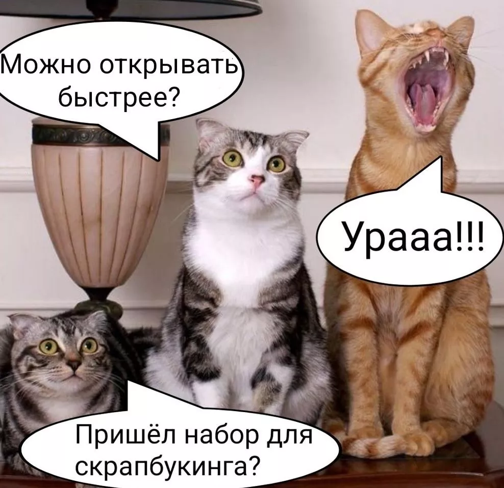Mct-MT_ObaY.jpg Mct-MT_ObaY.jpg