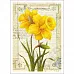 Тканевая карточка "Ботанический сад. Нарциссы" (ScrapMania)