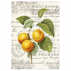 Тканевая карточка мини "Фруктовый сад. Абрикосовая ветвь" (ScrapMania)
