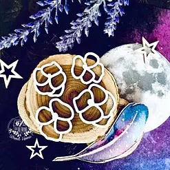 Набор украшений из чипборда "Ночные фиалки" (WoodHome)