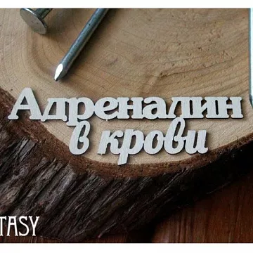 Украшение из чипборда "Адреналин в крови" (Fantasy)