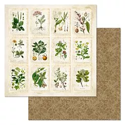 Бумага "Заповедник. Карточки" (ScrapMania)