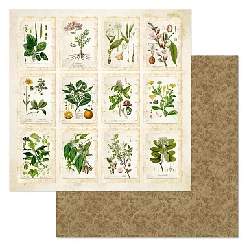 Бумага "Заповедник. Карточки" (ScrapMania)