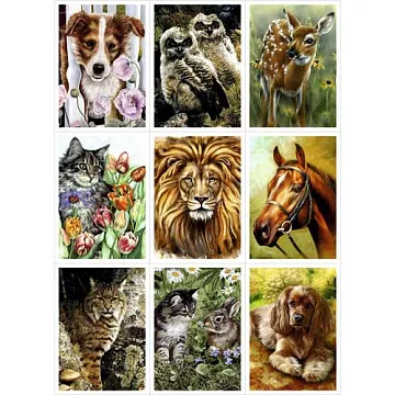 Скрап-карта A4 "В мире животных" (ScrapMania)