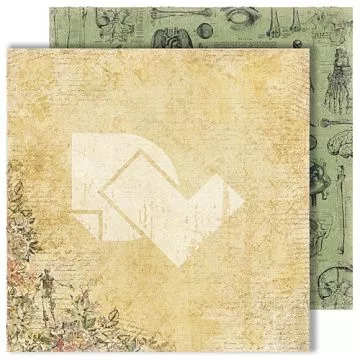 Бумага "Homo sapiens. Рентген" (DreamLight Studio)