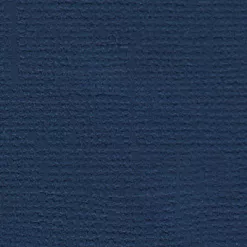 Кардсток "Южная ночь" (Mr.Painter) Кардсток "Южная ночь" (Mr.Painter)