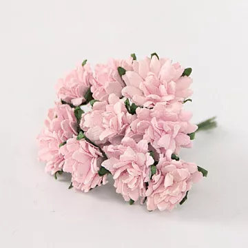 Букет астр "Розово-персиковые", 2 см, 10 шт (Craft)