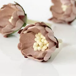 Цветок шиповника "Кофе с молоком", 1 шт (Craft)