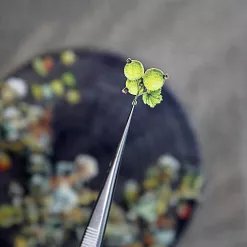 Набор тканевых высечек "СуперБабушка", 42 шт (ScrapMania)