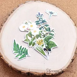 Набор высечек из бумаги "Заповедник", 43 шт (ScrapMania)