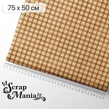 Отрез ткани 75х50 см "Мужской винтаж. Клетка" (ScrapMania)
