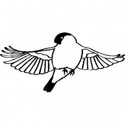 Штамп "Снегирь" (Скрапклуб)