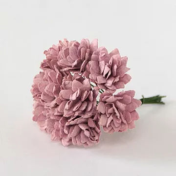 Букет астр "Каштановые", 2 см, 10 шт (Craft)