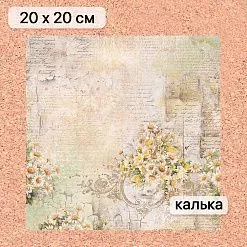 Калька 20х20 см "Сезон ромашек 09", плотность 110 гр/м2 (ScrapMania)