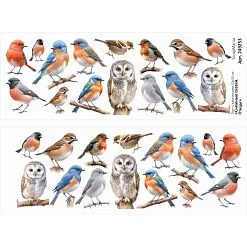 Лист с картинками 10х30 см "Снежные сказки. Птицы" (ScrapMania)