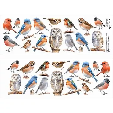 Лист с картинками 10х30 см "Снежные сказки. Птицы" (ScrapMania)