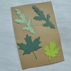 Набор вырубок "Гербарий. Ель и клен"