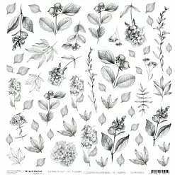 Бумага "Flowers. Картинки для вырезания" (CraftO'clock)