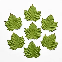 Набор листочков "Клен" (ScrapBerry's)