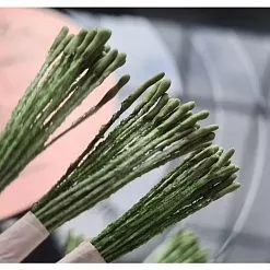 Тычинки "Удлиненные. Темно-зеленые на темно-зеленой нити", 25 шт (AgiArt)