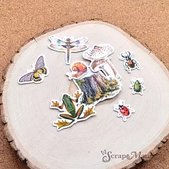 Набор высечек из бумаги "Заповедник 2", 40 шт (ScrapMania)