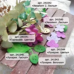 Нож "Лунария. Цветы", 1,6х1,7 см (ScrapMania) Нож "Лунария. Цветы", 1,6х1,7 см (ScrapMania)