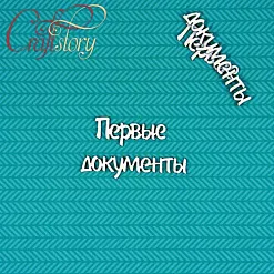 Чипборд "Первые документы" 1,3 см (CraftStory)