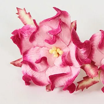 Гардения "Розовая с фуксией", 1 шт (Craft)