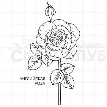 Штамп "Английская роза", 9х5 см (Скрапклуб)