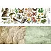 Лист с картинками 10х30 см "Заповедник. Природа" (ScrapMania)