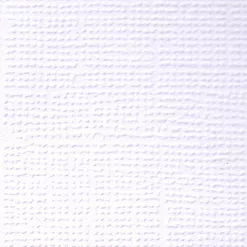 Кардсток "Первый снег" (Mr.Painter)