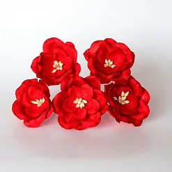 Букет магнолий "Красный", 5 шт (Craft) Букет магнолий "Красный", 5 шт (Craft)