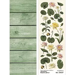 Лист с картинками 10х30 см "Ботаника. Водные цветы" (ScrapMania)
