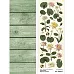 Лист с картинками 10х30 см "Ботаника. Водные цветы" (ScrapMania)