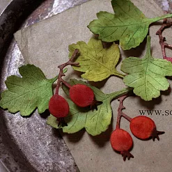 Набор ножей для вырубки "Боярышник" (Scrapfriend)