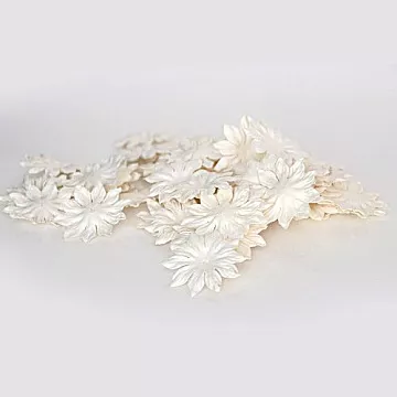 Набор плоских цветов "Белые. Крупные", 20 шт (Craft)