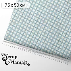 Отрез ткани 75х50 см "Школьная жизнь. Сетка" (ScrapMania)