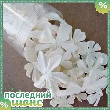 ШАНС Набор цветов Pillar Pack White