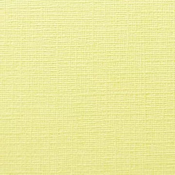 Кардсток с текстурой холста "Ванильный сахар" (Mr.Painter)