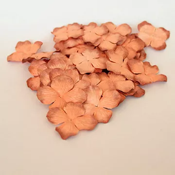 Набор больших гортензий "Коричневые двухтоновые", 5 см, 10 шт (Craft)