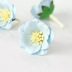 Цветок сенполии "Голубой", 1 шт (Craft)