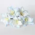 Букет лилий "Голубой", 5 шт (Craft)
