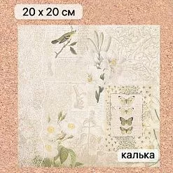 Калька 20х20 см "Заповедник 11", плотность 110 гр/м2 (ScrapMania)